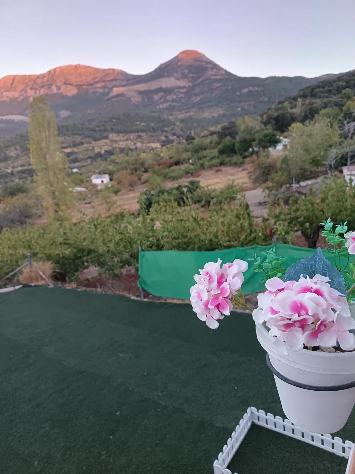 Los Cabales Torres  Εξωτερικό φωτογραφία